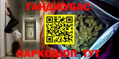 сатива Бердск