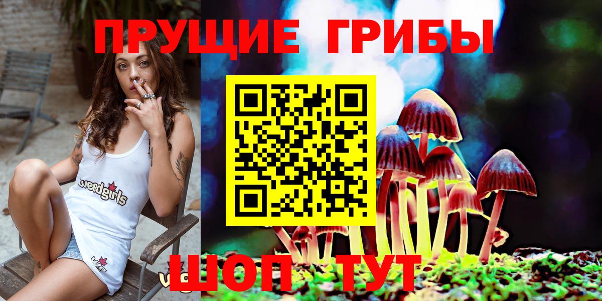 Галлюциногенные грибы GOLDEN TEACHER Астрахань