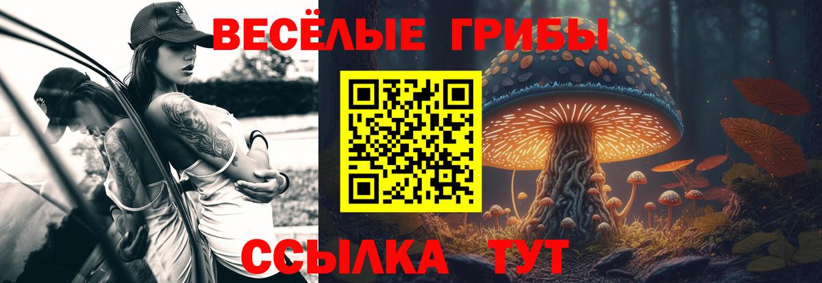 Галлюциногенные грибы ЛСД  наркошоп  Галлюциногенные грибы Psilocybe  Астрахань  Вход с VPN 